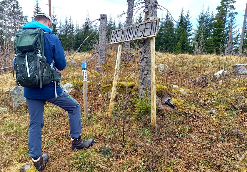 Foto av mann ved siden av stolpejaktstolpe i skogen