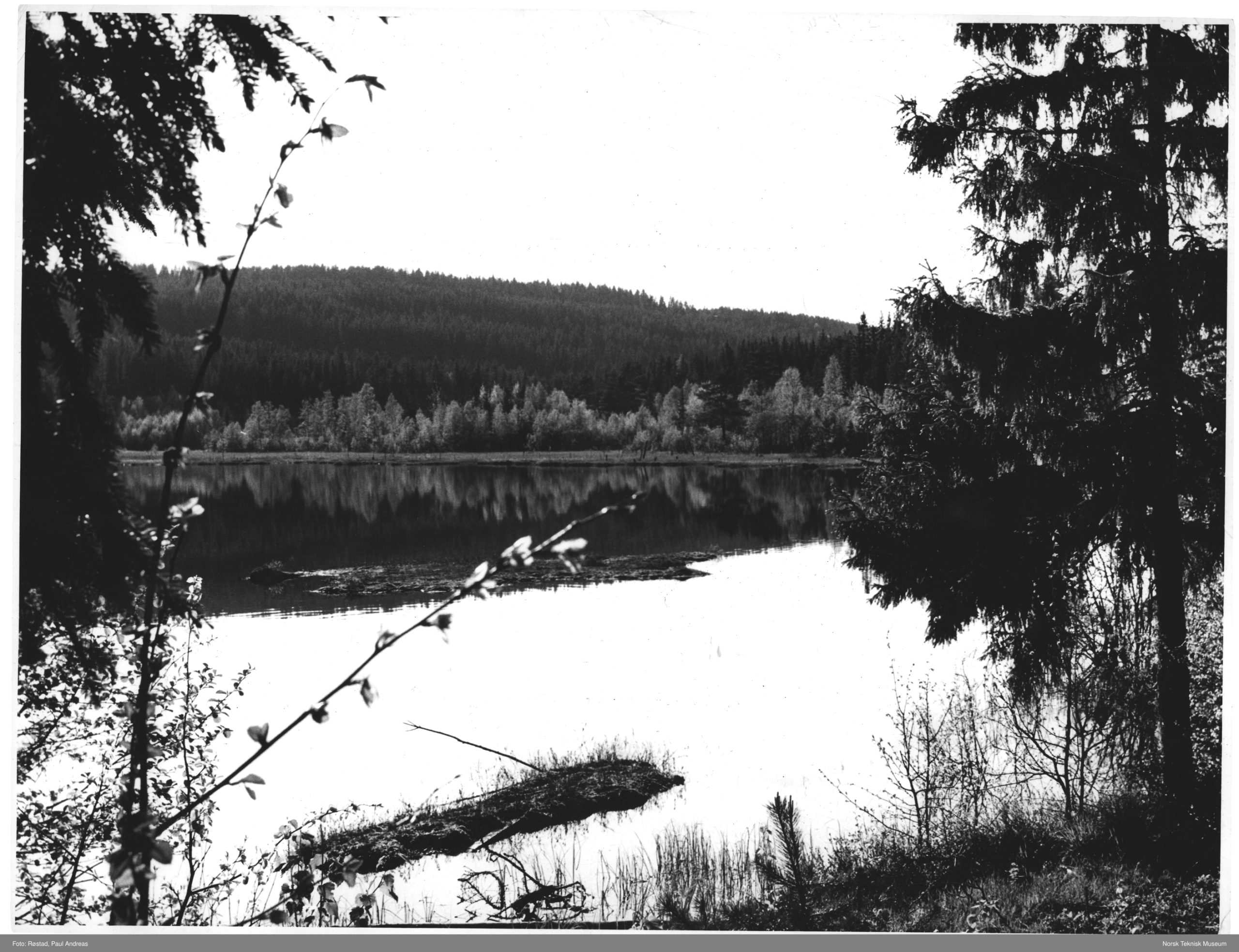 Svart-hvitt foto av en innsjø, trær og en ås