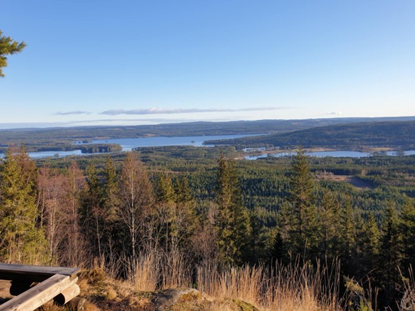 Foto av blå himmel over et langstrakt skogslandskap med innsjøer.