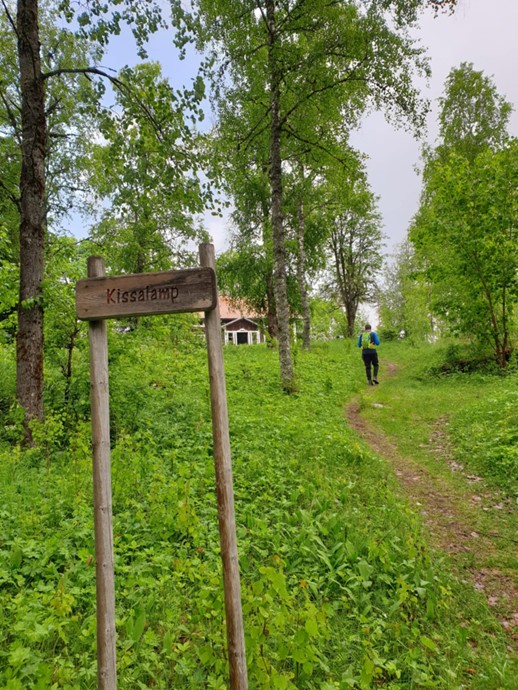 Foto av en sti i grønne omgivelser, og et treskilt med teksten "Kissalamp".