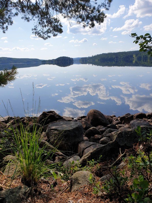 Foto av en innsjø, strandkant, skog og blå himmel.